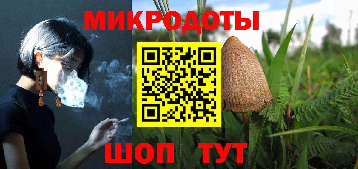 Псилоцибиновые грибы мицелий Жуковский